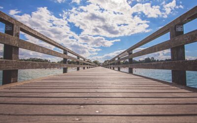 Choosing the Perfect Decking Material: A Comprehensive Guide